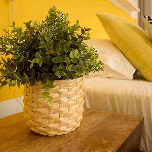 Intendente 1865 Bed & Breakfast